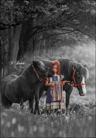 Quel livre a écrit Steinbeck ?