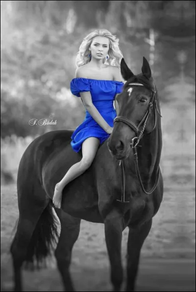 À qui appartenait Zingaro ?