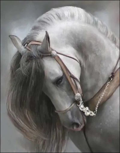 Quel acteur accompagnait le cheval Ulysse, dans le film "Heureux qui comme Ulysse" ?