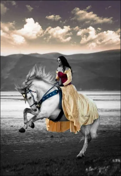 Alors je vais vous offrir une question de rattrapage ! Si votre score est minable, ne vous rendez pas malade comme un chien ! Vous auriez une fièvre...