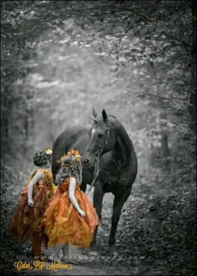 Qui était le cheval Babieca ?