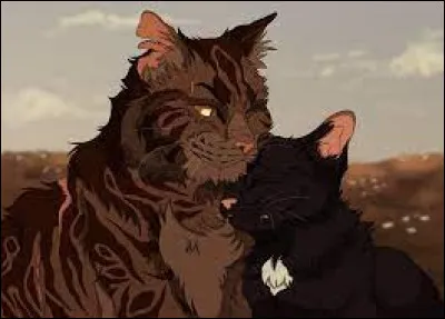 Si tu as répondu "autre", c'est...