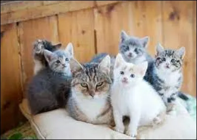 Et le mot "mardi" se dit...