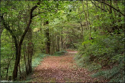 Commune de 300 habitants du département du Jura, située dans la plaine, entre la Saône et le Doubs :