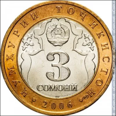 La monnaie "somoni" est du genre masculin.