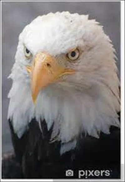 Où a été créé le Coca-Cola ?