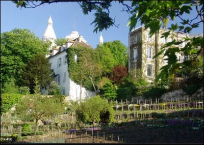 La f&ecirc;te des vendanges de Montmartre est l'un des &eacute;v&egrave;nements festifs les plus populaires de la capitale. Ses vignes qui datent de 1933 repr&eacute;sentent plus de 2000 pieds et une trentaine de c&eacute;pages. Combien de kilos de raisins ont &eacute;t&eacute; r&eacute;colt&eacute;s pour cette 88e &eacute;dition qui s'est tenue le 9 octobre 2021 ?