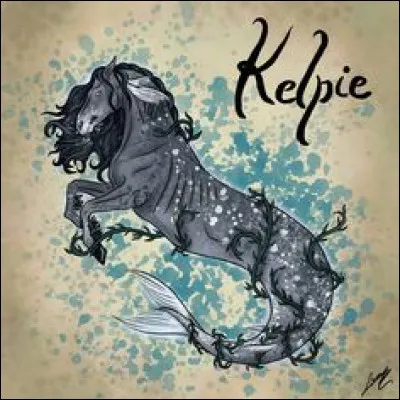 Aimes-tu les sirènes ?