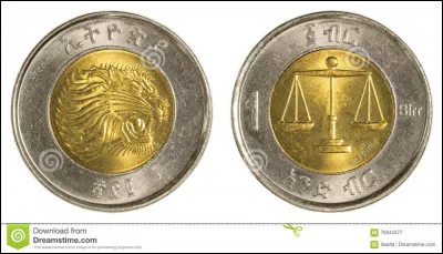 La monnaie "birr" est du genre féminin.