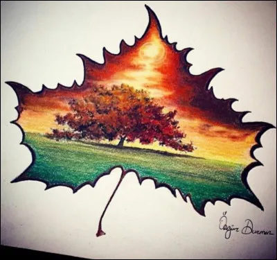 Technologie - Comment appelle-t-on la hiérarchie des dossiers ?