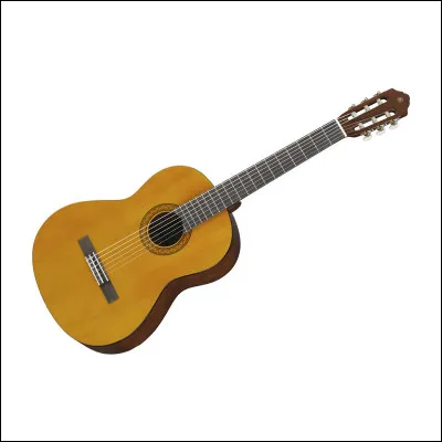 Leur style de musique est le :