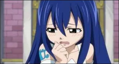 Quel personnage de Fairy Tail préfères-tu ?