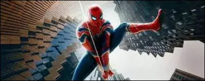 Tom Holland est-il l'acteur incarnant Spider-Man dans le film "Spider-Man : No Way Home" ?