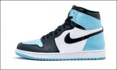 Sur la photo, voit-on une Air Jordan 1 ?