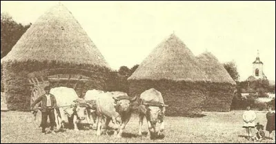 Si elle n'a pas de pot, toute la rue le sait, c'est la...