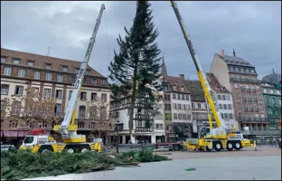 Qui est chargé d'installer les décorations dans les villes ?