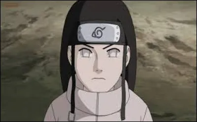 Comment s'appelle la technique favorite de Neji ?