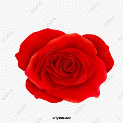 Ta couleur préférée est :