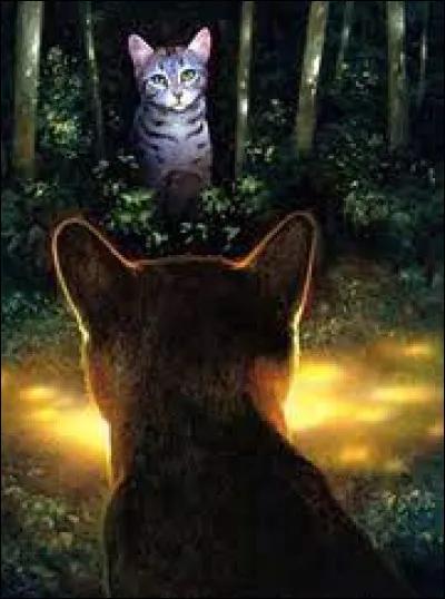 Ton frère arrive enfin, mais tu sens que quelque chose est anormal : il a le regard perdu dans le vague et écoute d'une oreille distraite les réprimandes de son mentor. Et durant toute la réunion, il ne cesse de contempler Nuage d'Étoile, assise près de ses camarades, qui lui renvoie un regard tout aussi intense ! Comment réagis-tu ?