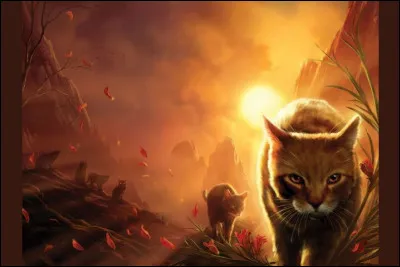 Ainsi, tu lui demandes ce qu'il disait à l'apprentie adverse, sans lui avouer que tu les as surpris dans la petite combe, et sans lui parler de leurs regards échangés durant la réunion. Nuage de Loup te répond sans fléchir qu'il essayait de soustraire des informations sur le Clan de l'Ombre à Nuage d'Étoile. Quelle est ta réaction ?