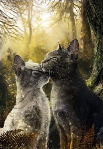 Tu décides finalement de partir à la recherche de Nuage de Loup. Et sa piste te mène tout droit ... vers la frontière du Clan de l'Ombre. Tu te mets à courir, et tu découvres finalement ton frère en train de jouer avec Nuage d'Étoile, dissimulés au milieu d'un petite clairière ! Soudain, Nuage de Loup se rend compte de ta présence et te demande d'une voix stupéfaite ce que tu fais ici.