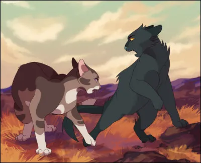 Pendant un instant, Nuage de Loup semble prêt à t'attaquer. Puis il tourne violemment les talons avant de te crier « Je n'arrêterai pas de la voir, quoi que tu fasses ! » Le temps passe, et ton frère continue de rejoindre Nuage d'Étoile à la nuit tombée. Mais un jour, voilà que vous êtes prêt à devenir guerriers, toi, ton frère, et ta sur ! Quel nom souhaiterais-tu recevoir ?