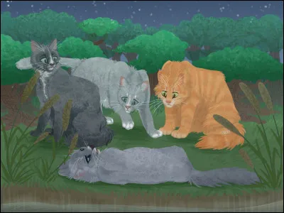 La matou lèche une dernière fois la joue de la guerrière, avant que cette dernière ne cesse de respirer. Étoile de Sauge s'avance et demande à Croc de Loup ce que cela signifie. Le regard vide, ton frère révèle la vérité, qui déclenche des exclamations d'abord choquées, puis indignées. Comment réagis-tu ?