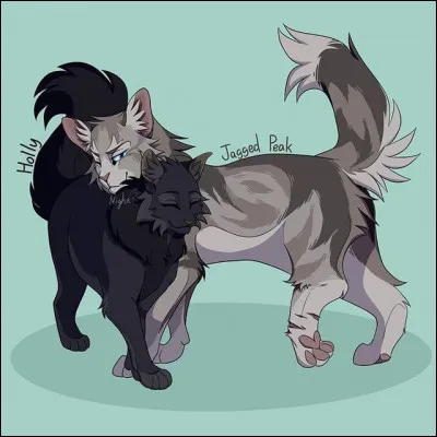 Croc de Loup ne peut détacher les yeux de sa défunte compagne. Cette dernière lui effleure la joue et lui murmure qu'elle sera toujours près de lui, avant de disparaître. Puis ton frère te regarde avant de te demander si tu pourras lui pardonner un jour. Comment réagis-tu ?