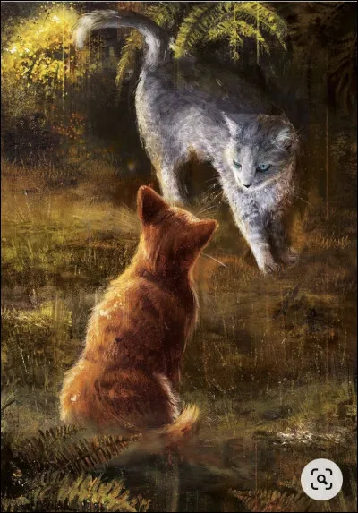 Puis Étoile de Sauge appelle au rassemblement. Aile de Châtaigne et Aile de Pierre, votre père, arrivent, et vous annoncent qu'il s'agit de votre baptême d'apprentis ! Vous recevez alors les noms de Nuage de Bourrasque, Nuage de Pie et Nuage de Loup. Tu deviens l'apprenti de Rayon de Lune, une chatte patiente, mais combative. De plus, elle est le lieutenant du Clan ! Comment réagis-tu ?