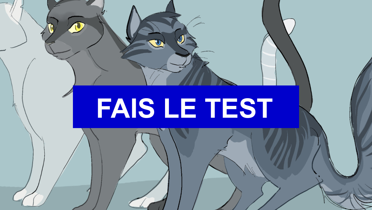 Test La Guerre Des Clans Quel Est Ton Nom Test Quel frère ou quelle sœur serais-tu dans ''La Guerre des clans'' ?