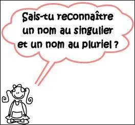 Un seul de ces pluriels est bon. Lequel ?