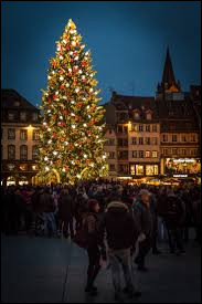 Reconnais-tu cet arbre de Noël ?