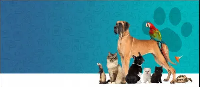 Quel animal préfères-tu ?