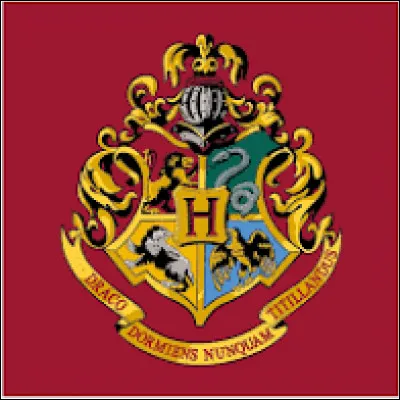 Quelle est ta maison dans "Harry Potter" ?