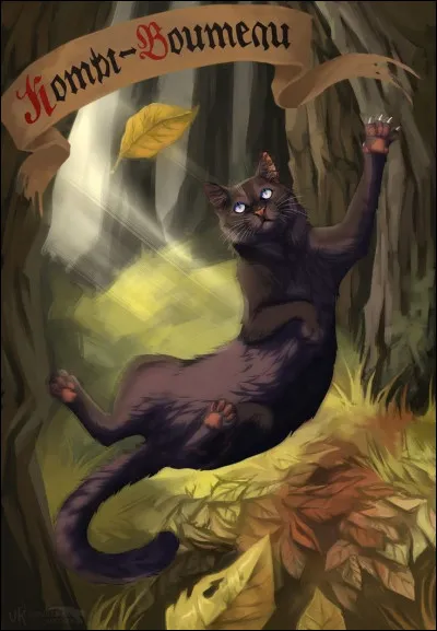 Spontanément, Nuage de Cendre décida d'aller aider son camarade en détresse. Elle escalada à son tour le grand arbre et fit en sorte qu'il redescende sans problème, mais quand vint son tour, la jeune chatte chuta, et se blessa gravement ! Quelle fut sa blessure ?