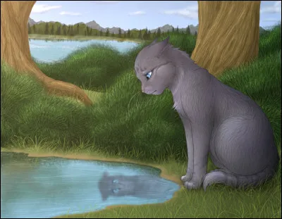 Cette fois, Nuage de Cendre perdit tout enthousiasme. Elle dut voir ses surs devenir guerrières sans elle, et se résolut presque à demeurer toute sa vie dans l'antre de Feuille de Lune et de Nuage de Geai, encore inconsciente de sa vie antérieure. C'est alors que Nuage de Geai eut une idée fantastique. Laquelle ?