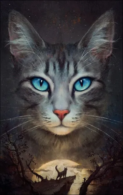 Il l'appliquèrent aussitôt, d'abord en secret. Grâce à l'idée de l'apprenti guérisseur, Nuage de Cendre se rééduqua en douceur et sa patte put guérir et redevenir aussi forte que les trois autres. Bientôt, elle put passer son évaluation finale aux côtés de Nuage de Lion et de Nuage de Houx, et recevoir son nom de guerrière : Cur Cendré ! Pourquoi Étoile de Feu la nomma-t-il ainsi ?