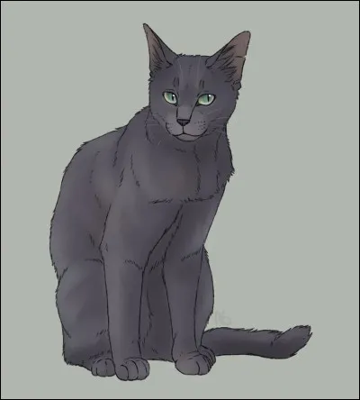 Le destin de Museau Cendré s'était enfin accompli. Mais Cur Cendré ne savait toujours pas qu'elle était la réincarnation de l'ancienne guérisseuse. Hélas un jour, elle perdit un nouveau membre de sa famille. Qui et pour quelle raison ?