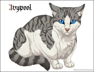 L'affaire liée à la mort de Pelage de Granit advint et Cur Cendré apprit alors que Feuille de Houx était une Clan-Mêlée et la fille d'une guérisseuse. Désemparée, cette dernière se jeta droit dans les tunnels, et Cur Cendré dût affronter la nouvelle de la mort de sa meilleure amie. Bien des lunes plus tard cependant, la chatte grise devint mentor ! Quel fut le nom de son apprentie ?