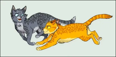 Pelage de Lion devint en même temps qu'elle le mentor de la sur de son apprentie, Nuage de Colombe. À partir de cet instant, les deux chats commencèrent à se rapprocher. Et un soir, il se déclarèrent mutuellement leur amour. Dans quel endroit se trouvaient-ils ?