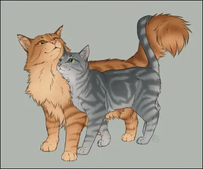 Mais l'euphorie de Cur Cendré retomba bien vite. En effet, Pelage de Lion se jetait sans arrêt et sans hésitation dans des situations parfois extrêmement dangereuses, et la jeune chatte grise ne cessait de s'inquiéter pour lui. Un jour, alors que le matou doré avait combattu seul un renard, elle décida de lui parler. Que lui annonça alors son compagnon ?