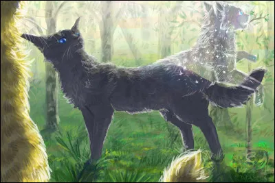 Ces mots eurent alors un effet magique : Cur Cendré libéra l'esprit de Museau Cendré qui put enfin rejoindre le Clan des Étoiles, en la remerciant. Cur Cendré perdit alors les souvenirs de l'ancienne guérisseuse et fit le serment de toujours se battre aux côtés de Pelage de Lion. Entre-temps Cur Cendré avait eu de nouveaux frères et surs. Comment se nommaient-ils ?