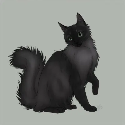 Qui sont les parents de Cur Cendré ?