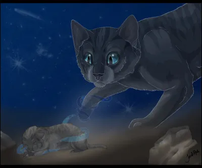 Un miracle se produisit alors. Pour honorer Museau Cendré, le Clan des Étoiles lui permit de vivre une seconde fois afin de suivre la voie des guerriers. Elle se réincarna donc en Petite Cendre, la fille de la reine pour laquelle elle s'était sacrifiée. Quel chat du Clan du Tonnerre fut le premier à le comprendre ?