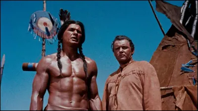 Quel cinéaste a réalisé "Le jugement des flèches" dans lequel un soldat sudiste (Rod Steiger), refusant la défaite de son camp, part vivre dans une tribu indienne ?