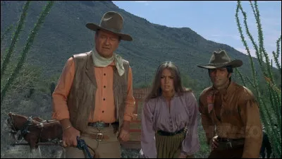 Dans "Rio Lobo", le colonel McNally est chargé de réceptionner un transport de fonds important, destiné à financer les troupes nordistes dans leur guerre contre les confédérés. Le convoi n'arrive jamais. La guerre finie, McNally part à la recherche des traîtres nordistes qui ont vendu les informations concernant ce chargement d'or. Qui est le réalisateur du film ?
