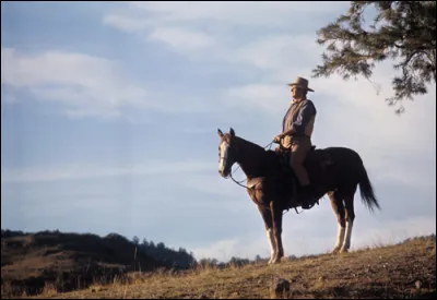 "Chisum" se déroule au Nouveau-Mexique en 1878 : John Chisum (John Wayne) défend son vaste domaine où il élève du bétail, avec l'aide de deux jeunes, Pat Garrett et Billy the Kid. Qui est le réalisateur de ce film ?