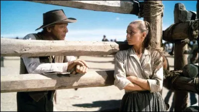 Dans "Le Vent de la plaine", Ben Zachary ( Burt Lancaster) revient avec des hommes embauchés pour s'occuper du troupeau dont il est propriétaire. Il retrouve sa sœur adoptive Rachel (Audrey Hepburn). Qui est le réalisateur de ce film ?