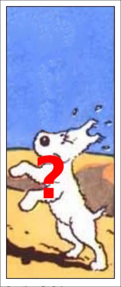 Le moins que l'on puisse dire, c'est que Milou sait faire feu de tous bois ! Qu'utilise-t-il comme arme, en désespoir de cause ?