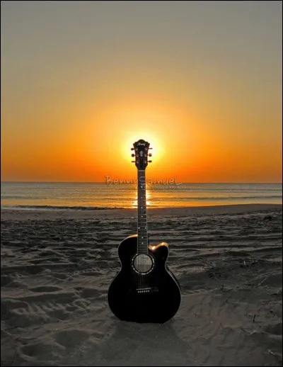 Qui chantait "Faux guérisseurs, fausses fortunes, faux électeurs dans les fosses communes, faux soldats dans les fausses guerres" ?